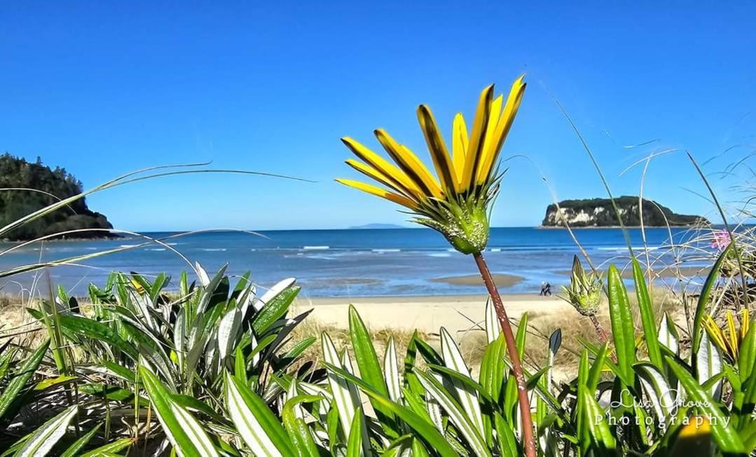 Southpacific Motel Whangamata Buitenkant foto